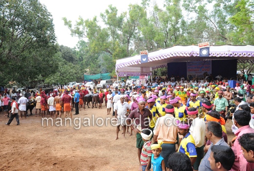 Baradi Beedu Kambala